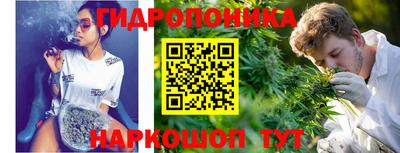 гидропоника Лесосибирск