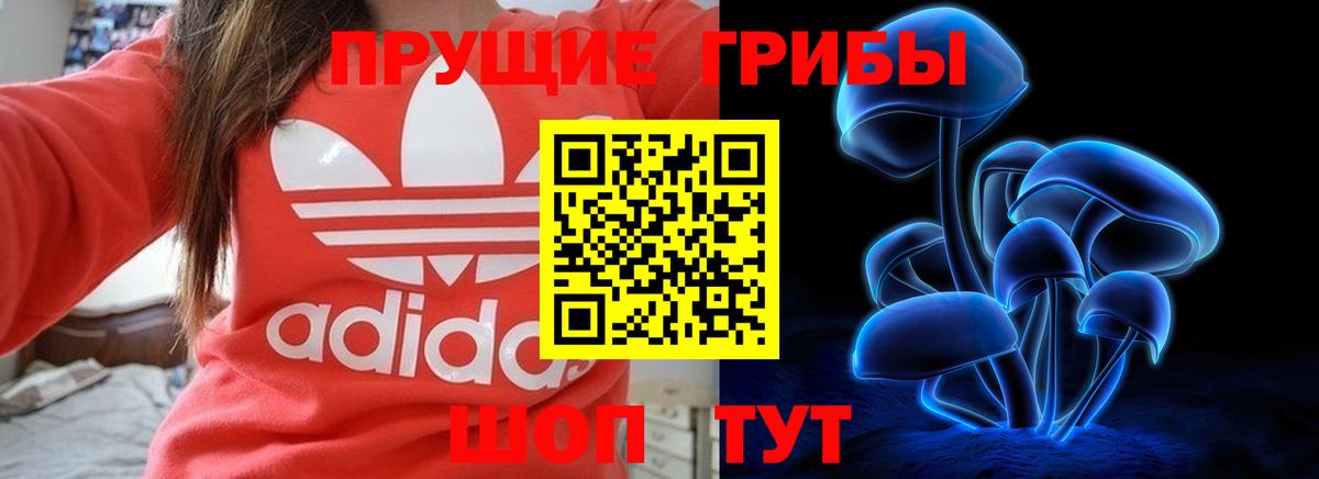Псилоцибиновые грибы Psilocybe Тулун